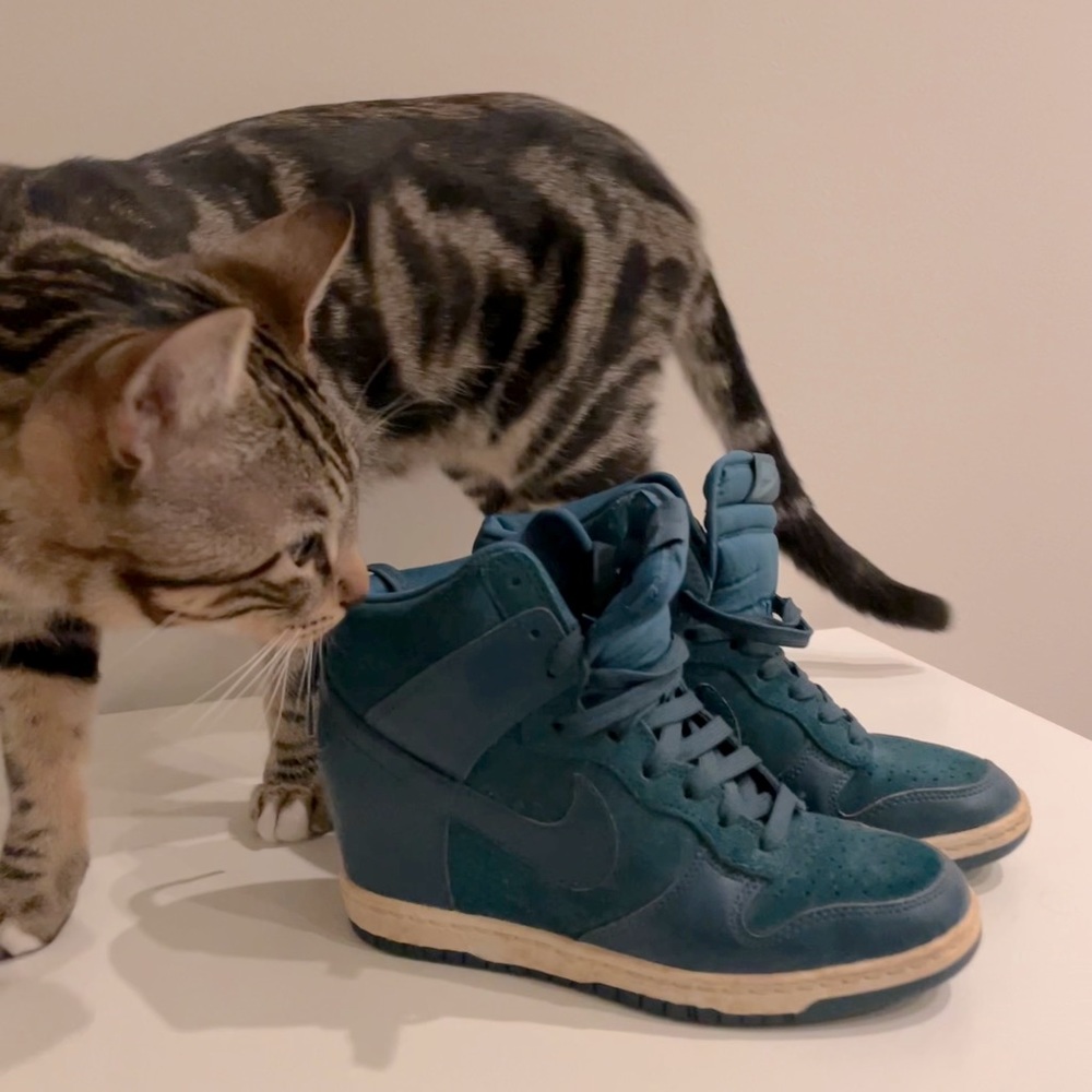 Nike 2018 Wmns Dunk Sky Hi Essential - Emerald